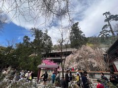 -潭柘寺景区