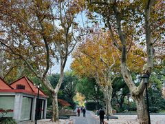 -中山公园