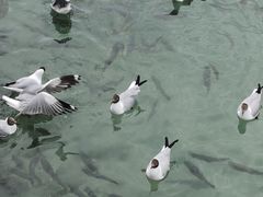 -青海湖二郎剑景区