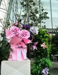 -圣贝拉母婴护理中心(深圳莱佛士店)
