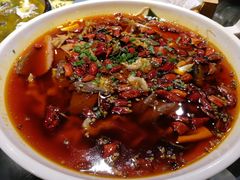 -庆合府重庆大排档(紫都城店)