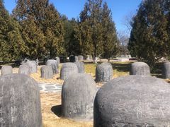 -中国人民抗日战争纪念雕塑园