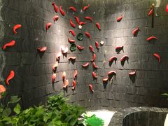 -云渔堂蒸汽石锅鱼(万达店)