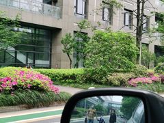 -浙江大学医学院附属邵逸夫医院(钱塘院区)