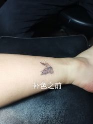 -刺客纹画·纹身·洗纹身.穿孔饰品