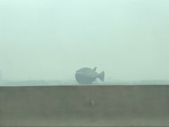 -长顺河豚馆(江洲东路)