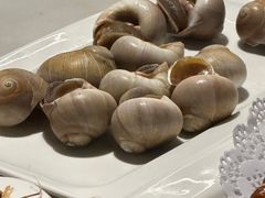 -华盛丰温州大排档(东三环南路店)