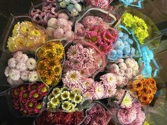 -循礼门鲜花花市(武汉循礼门店)