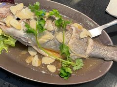 蒸海鲈鱼-URBAN SOI Thai Kitchen乐泰料理(长乐路店)