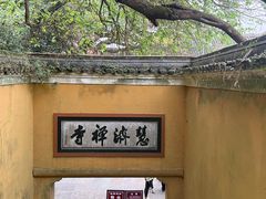 -普陀山慧济禅寺