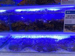 -盒马鲜生(大成店)