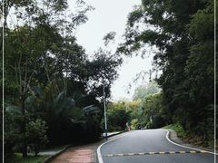 -火炉山森林公园