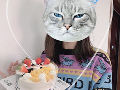 -维尔纳斯·生日蛋糕·动物奶油冰淇淋蛋糕(六里桥店)