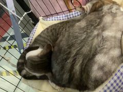 -谜盒子奇幻密室(南屏店)