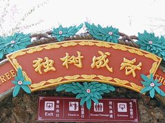 -瑞丽独树成林风景区