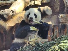 -石家庄市动物园