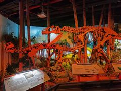 -正佳自然科学博物馆