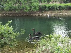 -长白岛森林公园