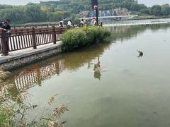 -河北省园博园