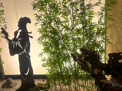 -新紫霞养生·影院足道·SPA(金山区店)