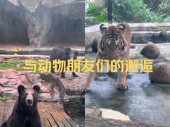 -海南热带野生动植物园