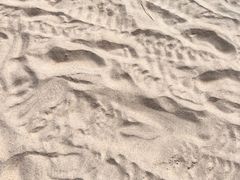 -海角城白海豚浪漫海滩