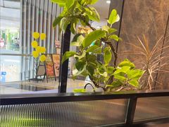 -半秋山西餐厅(襄阳万达店)