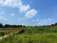 -巴盟人家·内蒙地方菜(华丽家族店)