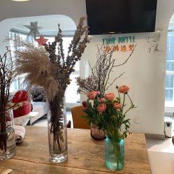 -净漪造型 PURE RIPPLE