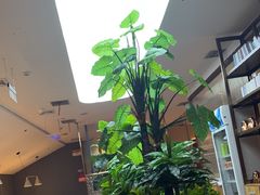 -悦海·家宴·冰花皮皮虾大锅贴(宝龙店)