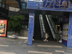 -江燕路万科里