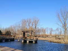 -东郊湿地公园