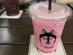 -TrueLove @ Neverland (Husky Cafe)