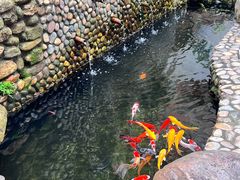 -茶米人台湾料理·精致快简餐