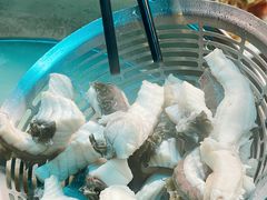 -正能量脆肉鲩火锅