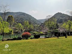 -桃花岭景区