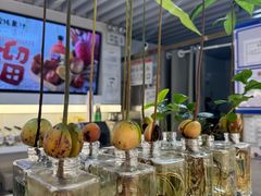 -Mr.Fruits水果先生(蓝色港湾店)