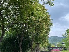 -盆满钵满·国家非遗传承(云台店)