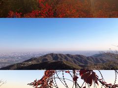 -香山公园