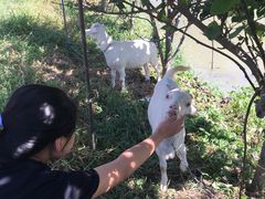 -美家乐农庄·露营·团建(大治路店)