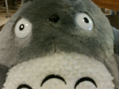 -PAWTOY爪e玩偶店(天兴罗斯福店)