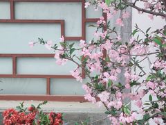 -陶然亭公园