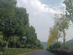 -青芒学车·丰远驾校(印象城校区)