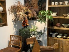 -自由生长植物工作室(深港花卉中心店)