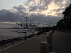 -深圳湾公园(南山区)