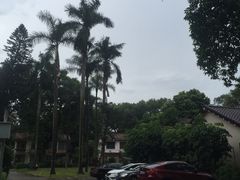 -广东外语外贸大学(白云山校区)