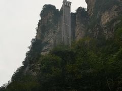 -猪脑壳凉面(武陵源店)