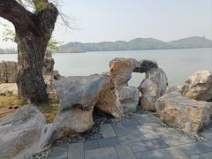-东湖落雁景区