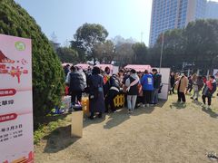-中国福利会少年宫