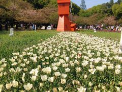 -苏州上方山国家森林公园